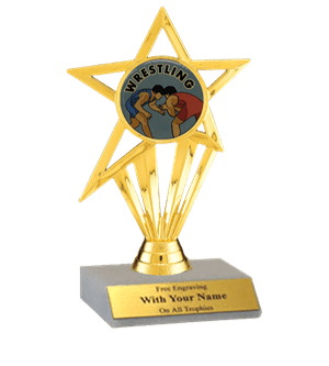 Wrestling Participation Insert Trophy