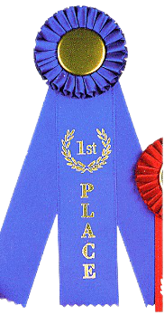 Prize Rosette Ribbon