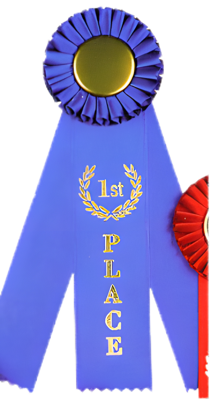 Prize Rosette Ribbon
