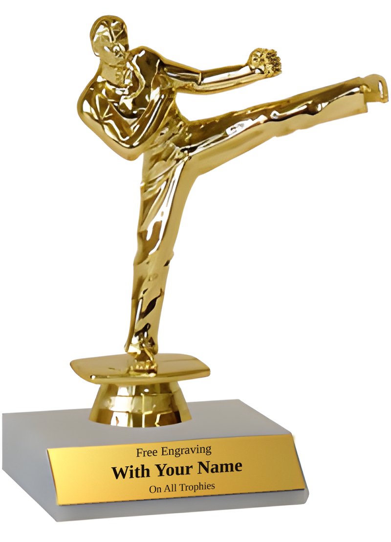 Karate Participation Trophy