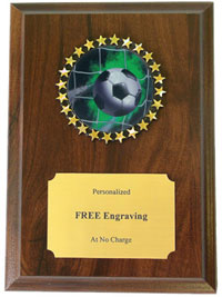 Soccer Holographic Insert Plaque