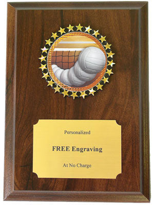 Volleyball Insert Plaque