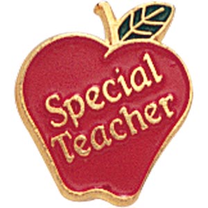 Special Teacher Lapel Pin (BR Series)
