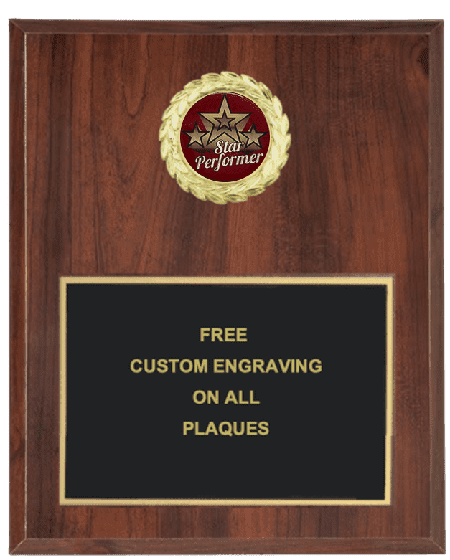Star Performer Insert Plaque