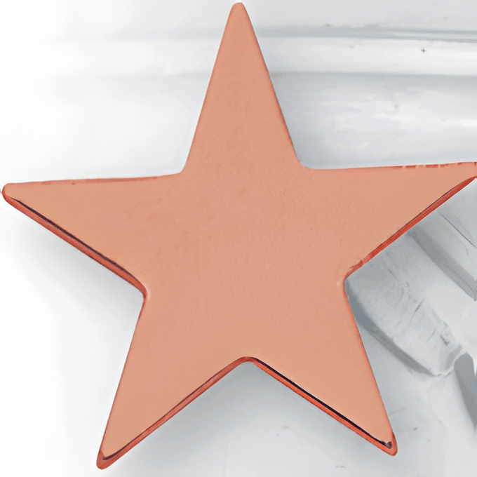 Flat Star - 1 Inch Bronze Pin (BR Series)