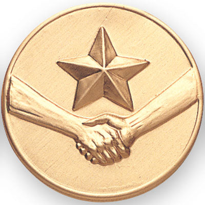 Star With Handshake Litho Medal Insert