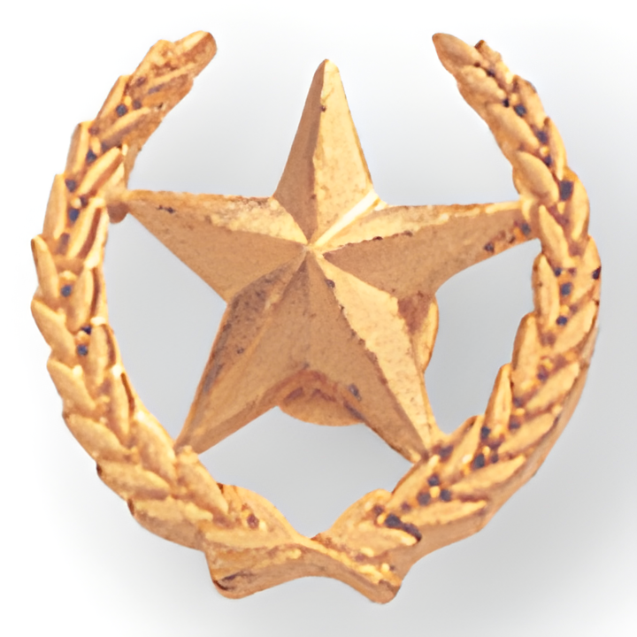 Star & Wreath Pin - 1/2 Inch (BR Series)
