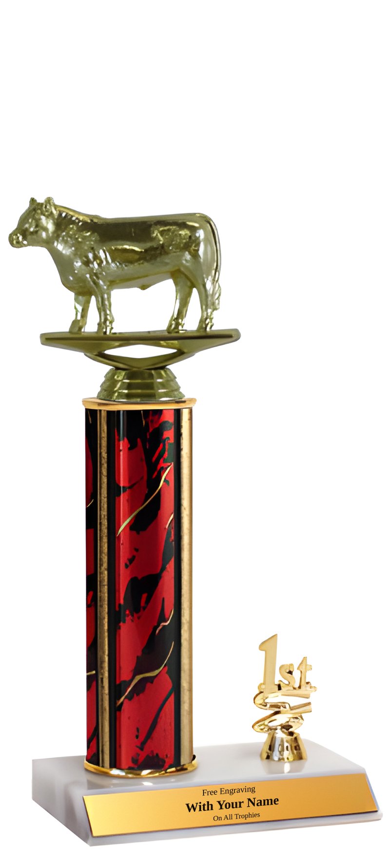Steer 1st, 2nd and 3rd Place Trophy