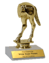 Funny Trophies and Awards
