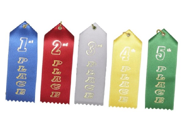 2" x 6" Place Ribbon with Card & String