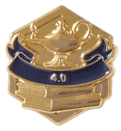 4.0 Honor 3D Gold Enamel Lapel Pin