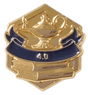 4.0 Honor 3D Gold Enamel Lapel Pin