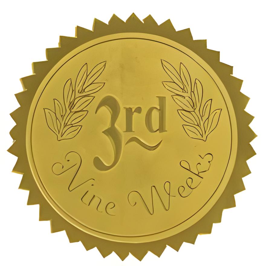 3rd Nine Weeks Certificate Seal