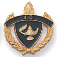 HP Series 4.0 Honor Pin