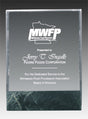 6" x 8" Marble Fusion Award