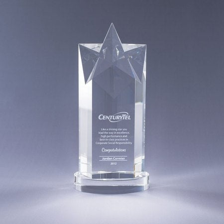 Rising Star Sales / Leadership Award