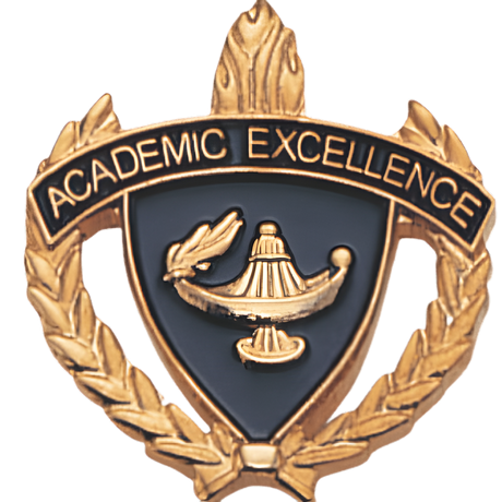 Academic Excellence Pins