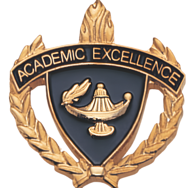 Academic Excellence Pins