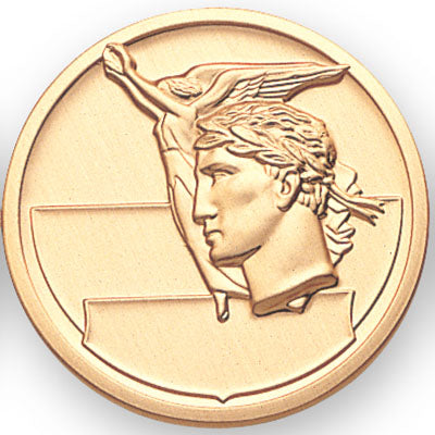 Achievement Litho Medal Insert