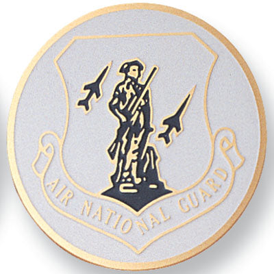 Air National Guard Medal Insert (Etched)