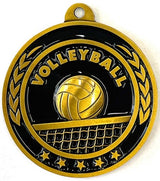 Volleyball Antique Gold Medal