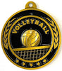 Volleyball Antique Gold Medal