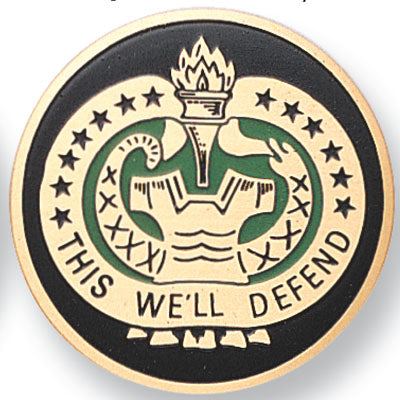 Army Drill Sergeant Medal Insert (Etched)