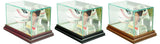 Baseball & Card Glass Display Case