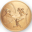 Litho Baseball (Male) Medal Insert