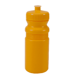 Bright Gold Sports Water Bottles