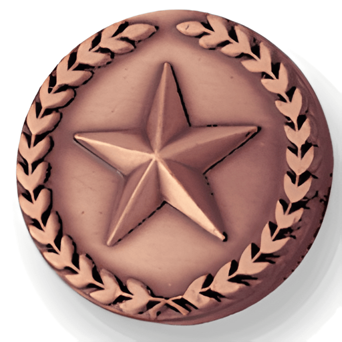 Bronze Star With Wreath - 7/8 Inch (BR Series)