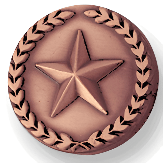 Bronze Star With Wreath - 7/8 Inch (BR Series)