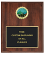 Camping Insert Plaque