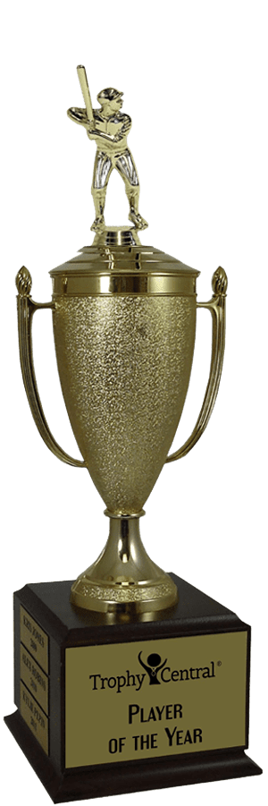Baseball Champion's Cup Trophy