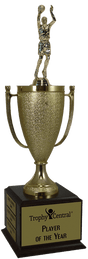 Basketball Champion's Cup Trophy