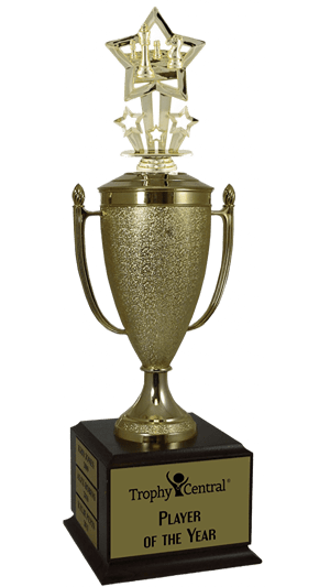Chess Champion's Cup Trophy