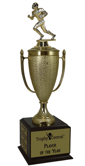 Football Champion's Cup Trophy