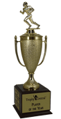 Football Champion's Cup Trophy