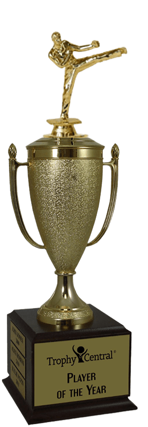Karate Champion's Cup Trophy