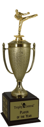 Karate Champion's Cup Trophy