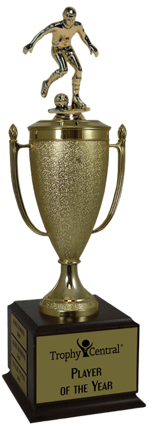 Soccer Champion's Cup Trophy