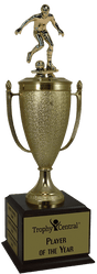 Soccer Champion's Cup Trophy