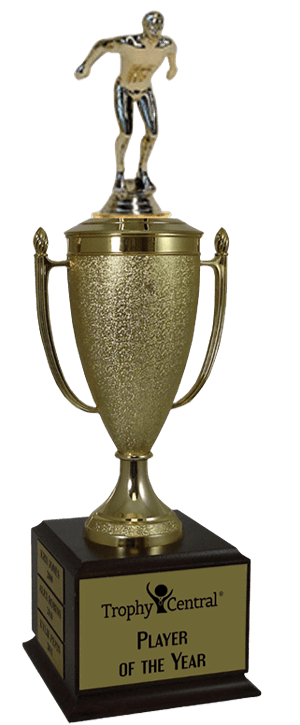 Swimming Champion's Cup Trophy