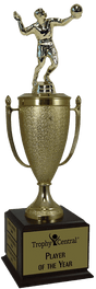 Volleyball Champion's Cup Trophy