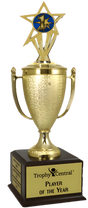 1st Place Champion's Cup Trophy with Insert