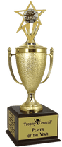 3rd Place Champion's Cup Trophy with Insert