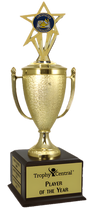 Academic Champion's Cup Trophy with Insert