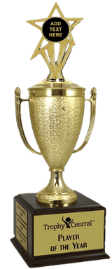 Blank Champion's Cup Trophy with Insert