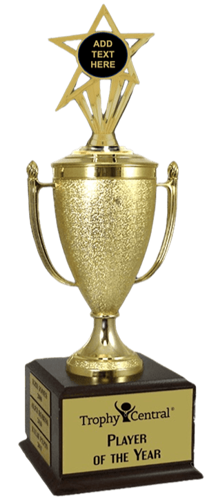 Blank Champion's Cup Trophy with Insert