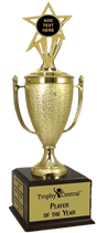 Blank Champion's Cup Trophy with Insert